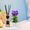 Kissmi Scents Classic Reed Diffuser