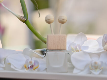 Car Reed Diffuser Bottle, Frosted White