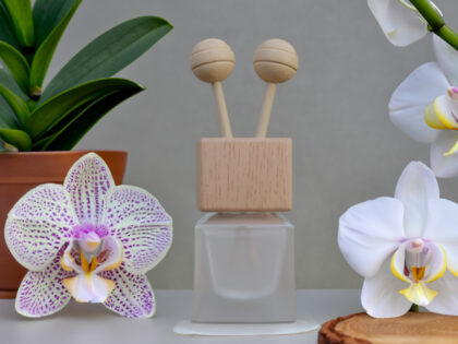 Mini Reed Diffuser Bottle, Frosted White
